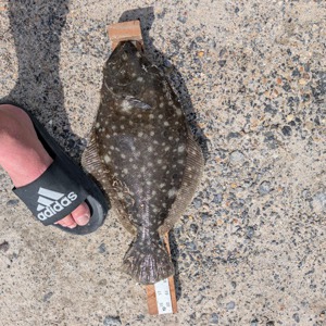 Image #11666 from GreatAnglers.com