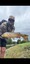 11672 Carp 09/05/26 11:04am