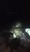 11674 Dusky Shark 09/04/26 8:57pm 11674 Dusky Shark 09/04/26 8:57pm