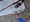11675 Bluefish 09/04/26 7:26pm