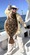 11687 Summer Flounder 09/15/26 3:02pm 11687 Summer Flounder 09/15/26 3:02pm