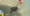 11694 Flounder 09/20/26 2:00pm
