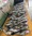 11702 Black Sea Bass 09/29/26 3:13pm