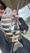 11710 Sheepshead 10/04/26 4:17pm
