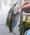 11723 Scribe fish 07/19/25 2:20pm 11723 Scribe fish 07/19/25 2:20pm