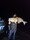 11736 Red Drum 10/16/26 10:39pm