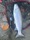 11743 Steelhead 10/23/26 6:55pm 11743 Steelhead 10/23/26 6:55pm