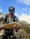 11744 Brown trout 10/23/26 10:00am