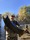11747 King salmon 10/24/26 2:00pm