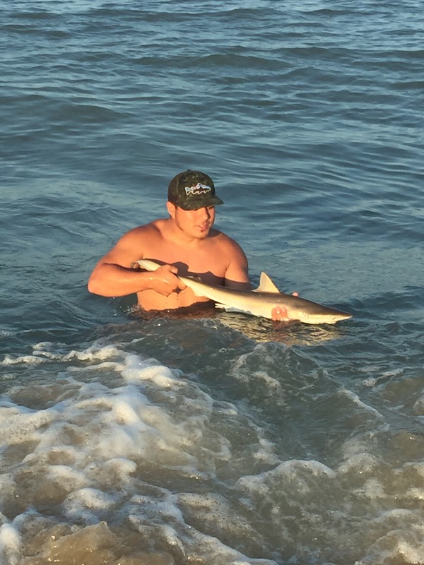 1183 Atlantic Sharpnose Shark 07/03/18 7:29pm 1183 Atlantic Sharpnose Shark 07/03/18 7:29pm