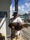 48-1184 Flounder 07/04/18 3:50pm 48-1184 Flounder 07/04/18 3:50pm
