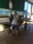 46-1186 Flounder 07/04/18 3:48pm 46-1186 Flounder 07/04/18 3:48pm