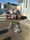1209 Sheepshead 07/09/18 9:36pm