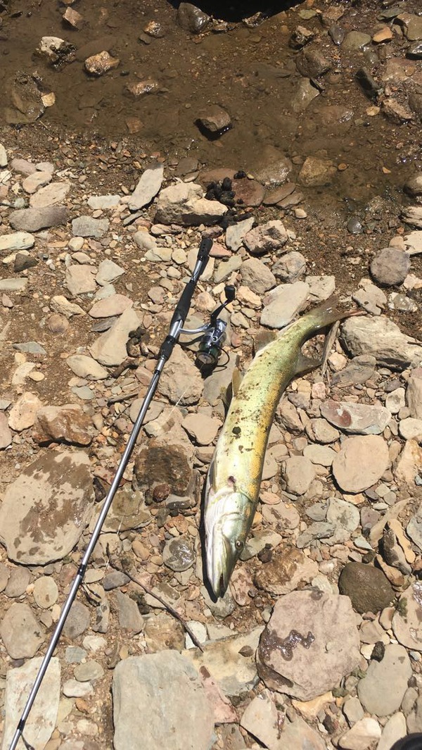 1221 Muskie 07/13/18 12:04am 1221 Muskie 07/13/18 12:04am