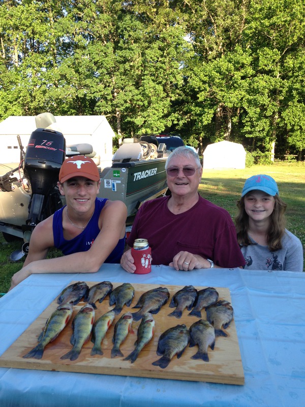 1256 Yellow Perch and Bluegill 06/10/18 10:35pm 1256 Yellow Perch and Bluegill 06/10/18 10:35pm