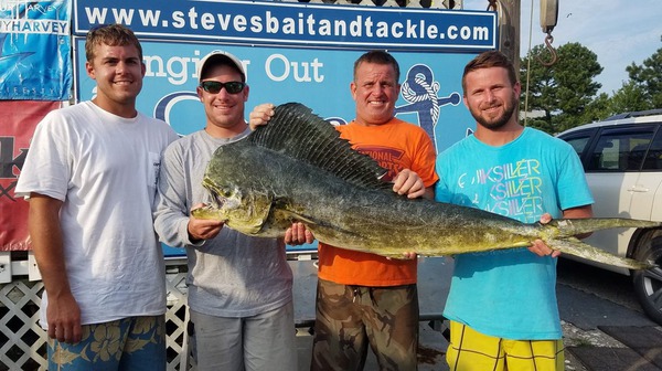 1328 Mahi-mahi 07/29/18 11:07am 1328 Mahi-mahi 07/29/18 11:07am