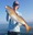 10-1329 Red Drum 08/06/18 12:10pm 10-1329 Red Drum 08/06/18 12:10pm
