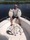 5-1336 Summer Flounder 08/09/18 5:38pm 5-1336 Summer Flounder 08/09/18 5:38pm
