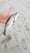 8-1379 Kingfish 08/14/18 7:49pm 8-1379 Kingfish 08/14/18 7:49pm