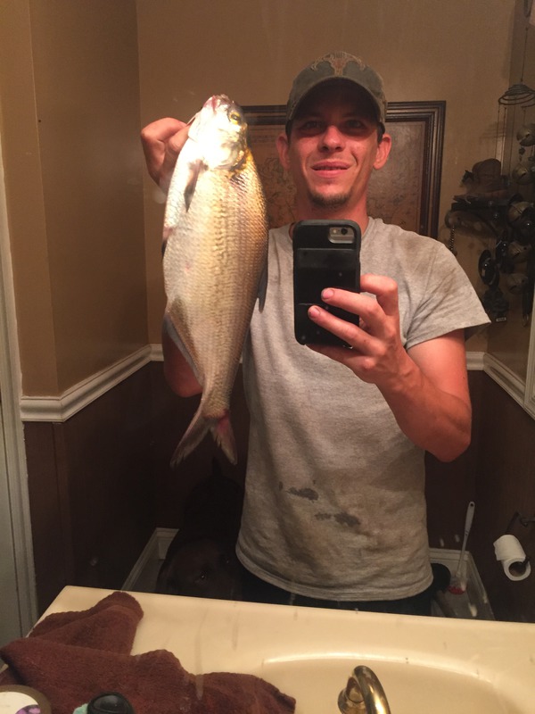 1398 Gizzard Shad 08/16/18 10:33pm 1398 Gizzard Shad 08/16/18 10:33pm