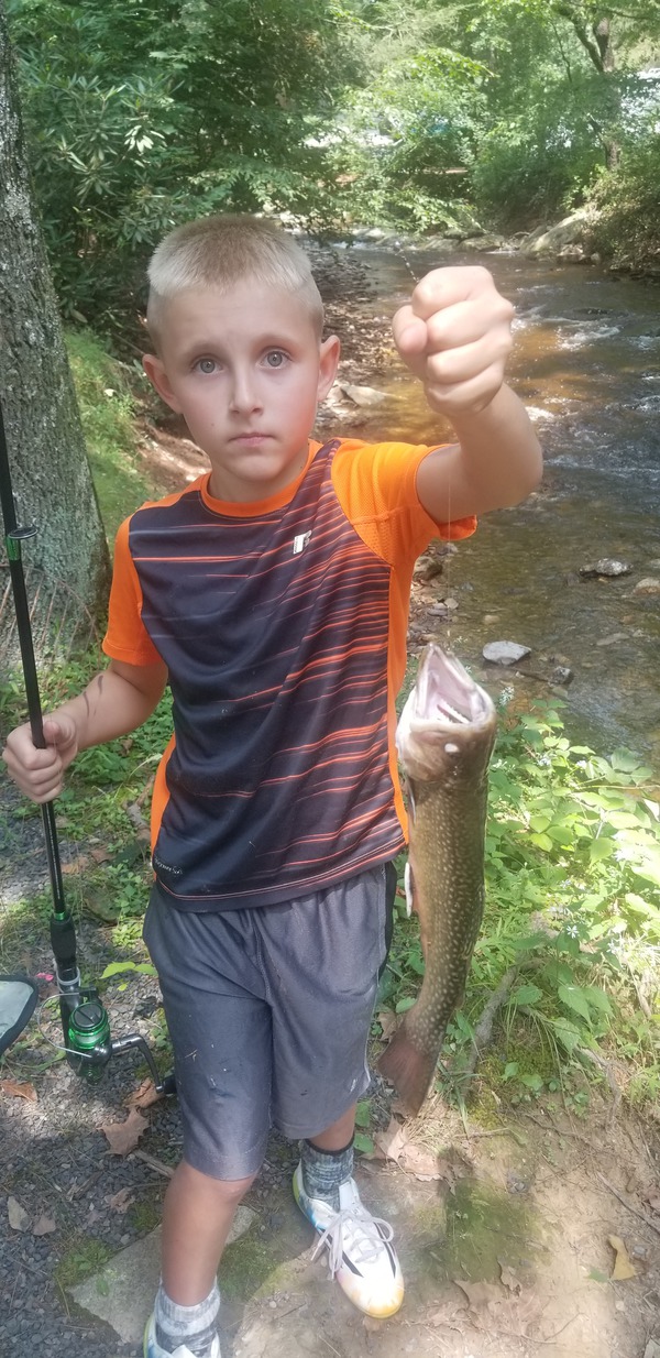 1406 Brook Trout 08/22/18 1:05pm 1406 Brook Trout 08/22/18 1:05pm