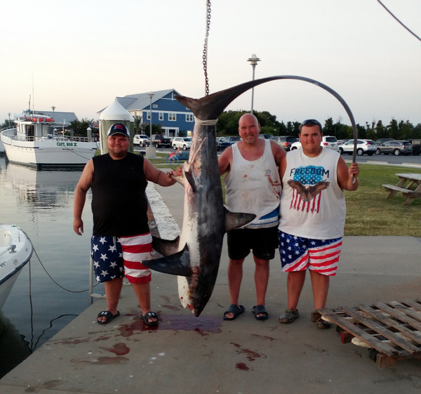 1408 Thresher Shark 08/24/18 7:46pm 1408 Thresher Shark 08/24/18 7:46pm