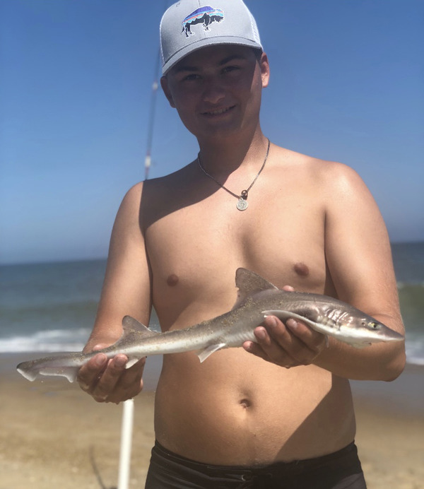 1451 Smooth Dogfish 09/03/18 4:23pm 1451 Smooth Dogfish 09/03/18 4:23pm