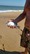 4-1455 Black Drum 09/03/18 3:48pm 4-1455 Black Drum 09/03/18 3:48pm