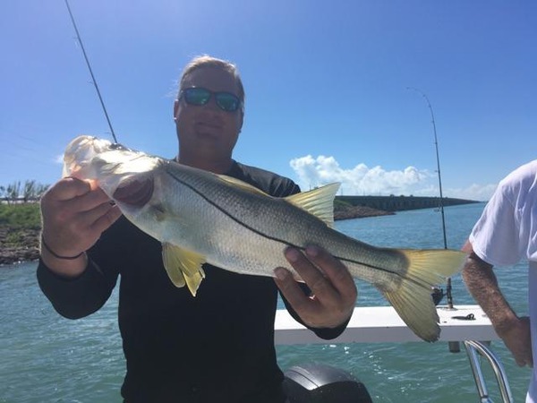 1481 Snook 09/12/18 3:05pm 1481 Snook 09/12/18 3:05pm