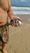 3-1486 Black Drum 09/16/18 2:21pm 3-1486 Black Drum 09/16/18 2:21pm