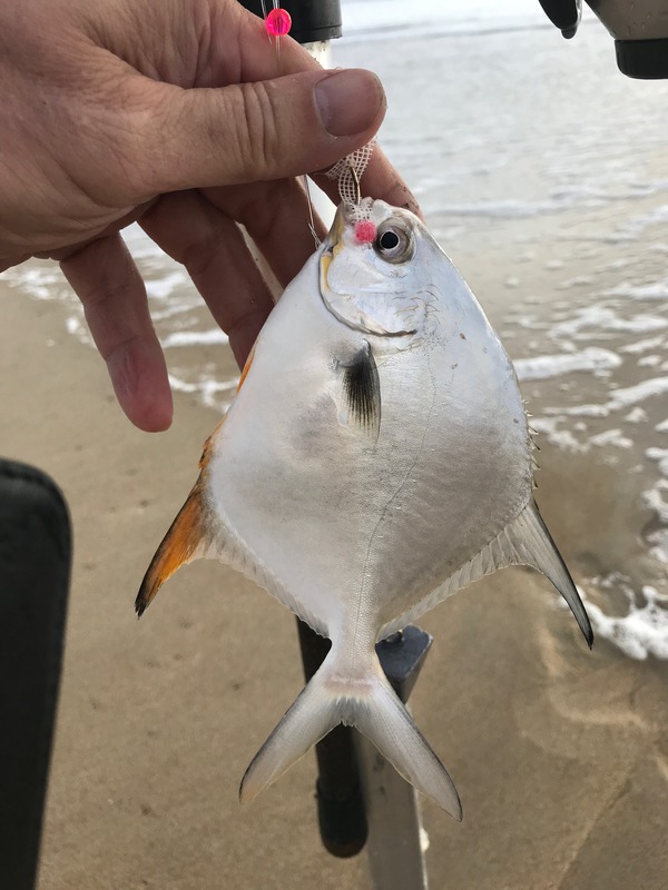 1488 Permit 09/16/18 8:15am 1488 Permit 09/16/18 8:15am