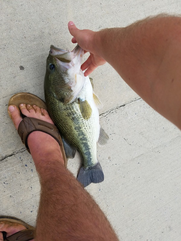 1490 Largemouth Bass 09/15/18 5:52pm 1490 Largemouth Bass 09/15/18 5:52pm