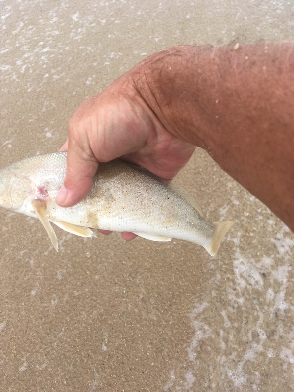 1552 Croaker 10/07/18 12:11am 1552 Croaker 10/07/18 12:11am