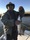 10-1600 Striped Bass 10/27/18 8:39am 10-1600 Striped Bass 10/27/18 8:39am