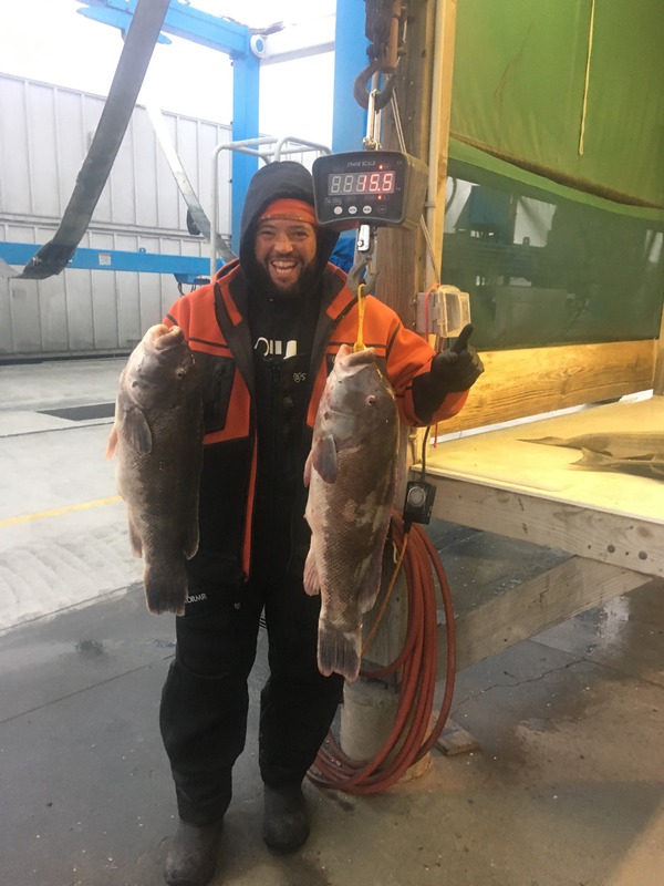 1648 Tautog 12/01/18 4:08pm 1648 Tautog 12/01/18 4:08pm