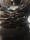 3-1654 Tautog 12/09/18 5:15pm 3-1654 Tautog 12/09/18 5:15pm