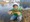 1706 Largemouth Bass 03/08/19 10:41am