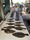 22-253 Summer Flounder 07/05/17 4:41pm 22-253 Summer Flounder 07/05/17 4:41pm