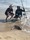 2616 Cownose Ray 07/06/19 8:57am 2616 Cownose Ray 07/06/19 8:57am