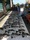 295 Black Triggerfish 07/10/17 3:00pm