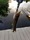 3045 Northern Pike 08/12/19 7:26pm