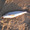 36-305 Kingfish 07/13/17 9:27am 36-305 Kingfish 07/13/17 9:27am