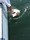 324 Sand Tiger Shark 07/13/17 11:30am