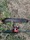 3247 Snakehead 09/17/19 6:51pm