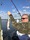 3626 White Bullhead Catfish 10/10/19 4:32pm