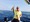 3915 False Albacore 05/08/15 10:47am