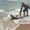 400 Sand Tiger Shark 07/29/17 11:29am