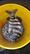 4826 Sheepshead 06/21/20 11:00pm