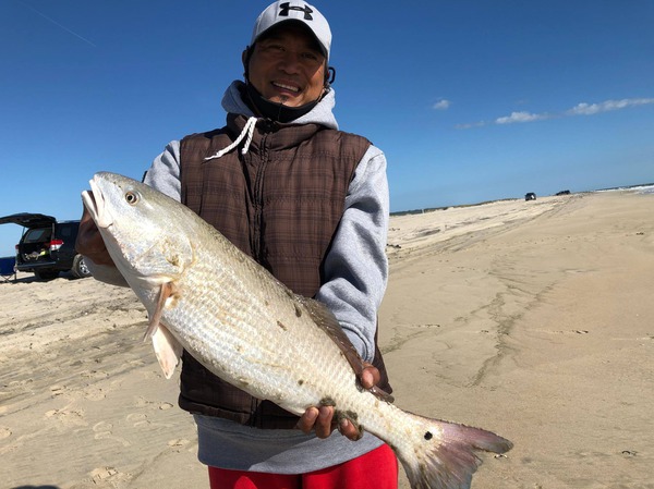 captain steve's bait and tackle