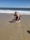 5897 Cownose Ray 05/15/21 2:30pm 5897 Cownose Ray 05/15/21 2:30pm